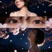 ヒメ日記 2026/04/04 14:30 投稿 ゆう 新宿クリスタル