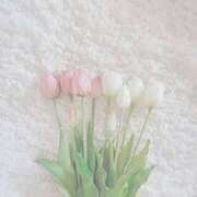 ヒメ日記 2025/01/18 19:05 投稿 仁愛(にいな) グランドオペラ福岡