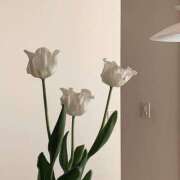 ヒメ日記 2025/01/19 23:20 投稿 仁愛(にいな) グランドオペラ福岡