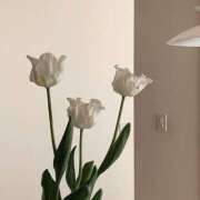 ヒメ日記 2025/03/28 19:38 投稿 仁愛(にいな) グランドオペラ福岡