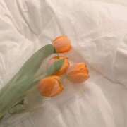 ヒメ日記 2025/04/04 19:06 投稿 仁愛(にいな) グランドオペラ福岡