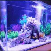 ヒメ日記 2025/08/13 22:14 投稿 みずき ラブライフ大宮岩槻店