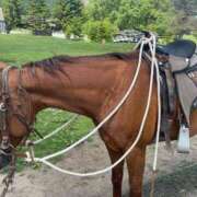 ヒメ日記 2025/07/06 08:42 投稿 かんな ニューハーフ・男の娘・女装系デリヘル　ピーチムーン五反田店