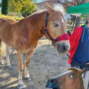 ヒメ日記 2025/12/20 22:31 投稿 よはね 大阪デリヘル学園