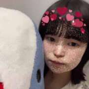 ヒメ日記 2024/12/12 07:22 投稿 ふう 若葉