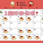 ヒメ日記 2024/12/31 12:06 投稿 ふう 若葉