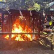 ヒメ日記 2025/01/03 21:55 投稿 ふう 若葉