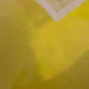 ヒメ日記 2025/01/05 08:55 投稿 ふう 若葉