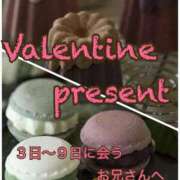 ヒメ日記 2025/02/02 20:37 投稿 ふう 若葉