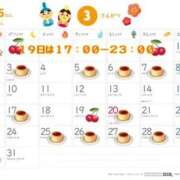 ヒメ日記 2025/02/25 17:08 投稿 ふう 若葉