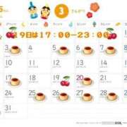 ヒメ日記 2025/02/25 17:25 投稿 ふう 若葉