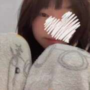 ヒメ日記 2025/03/12 02:35 投稿 ふう 若葉