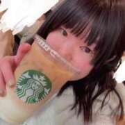 ヒメ日記 2025/03/16 13:25 投稿 ふう 若葉