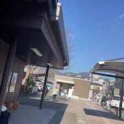 ヒメ日記 2025/03/21 17:05 投稿 ふう 若葉