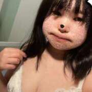 ヒメ日記 2025/03/27 08:55 投稿 ふう 若葉