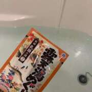 ヒメ日記 2025/03/27 18:05 投稿 ふう 若葉