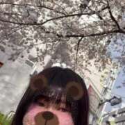 ヒメ日記 2025/03/28 20:35 投稿 ふう 若葉