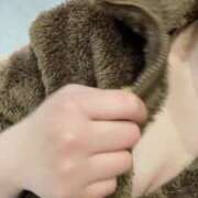 ヒメ日記 2025/04/07 13:35 投稿 ふう 若葉