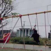 ヒメ日記 2025/04/11 15:55 投稿 ふう 若葉