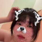 ヒメ日記 2025/04/14 13:33 投稿 ふう 若葉