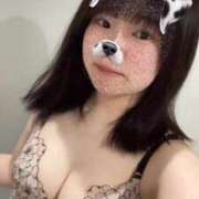 ヒメ日記 2025/04/20 08:58 投稿 ふう 若葉