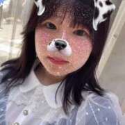 ヒメ日記 2025/04/21 11:55 投稿 ふう 若葉