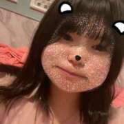 ヒメ日記 2025/04/25 13:05 投稿 ふう 若葉