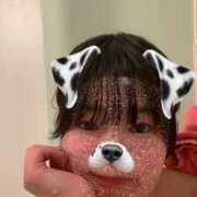 ヒメ日記 2025/04/26 15:05 投稿 ふう 若葉