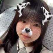 ヒメ日記 2025/04/28 09:05 投稿 ふう 若葉