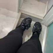 ヒメ日記 2025/04/28 12:06 投稿 ふう 若葉