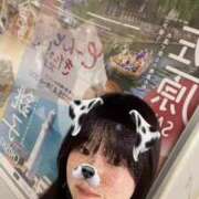 ヒメ日記 2025/04/29 13:05 投稿 ふう 若葉