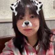 ヒメ日記 2025/04/30 09:19 投稿 ふう 若葉