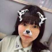 ヒメ日記 2025/05/05 14:05 投稿 ふう 若葉