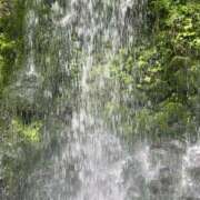 ヒメ日記 2025/05/05 23:56 投稿 ふう 若葉