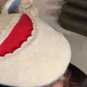 ヒメ日記 2025/05/07 23:32 投稿 ふう 若葉