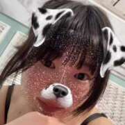 ヒメ日記 2025/05/15 09:25 投稿 ふう 若葉