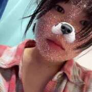 ヒメ日記 2025/05/16 18:06 投稿 ふう 若葉