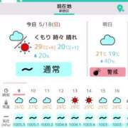 ヒメ日記 2025/05/18 11:06 投稿 ふう 若葉