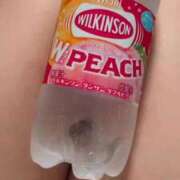 ヒメ日記 2025/05/22 09:25 投稿 ふう 若葉