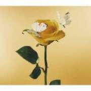 ヒメ日記 2025/06/03 03:33 投稿 ふう 若葉