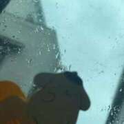 ヒメ日記 2025/06/03 14:15 投稿 ふう 若葉