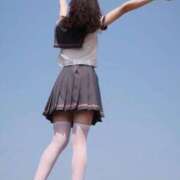 ヒメ日記 2025/06/08 19:22 投稿 ふう 若葉