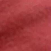 ヒメ日記 2025/06/11 20:16 投稿 ふう 若葉