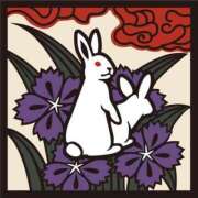 ヒメ日記 2025/06/13 02:45 投稿 ふう 若葉