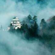 ヒメ日記 2025/06/14 10:34 投稿 ふう 若葉