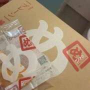 ヒメ日記 2025/06/15 11:45 投稿 ふう 若葉