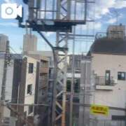 ヒメ日記 2025/06/17 14:25 投稿 ふう 若葉