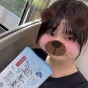 ヒメ日記 2025/06/17 15:25 投稿 ふう 若葉