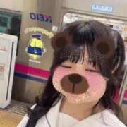 ヒメ日記 2025/06/19 08:05 投稿 ふう 若葉