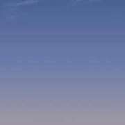 ヒメ日記 2025/06/19 19:05 投稿 ふう 若葉